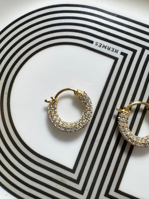 
                  
                    Iced Hoops Earring
                  
                