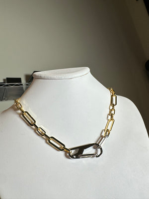 
                  
                    Two Tone Clasp Necklace
                  
                